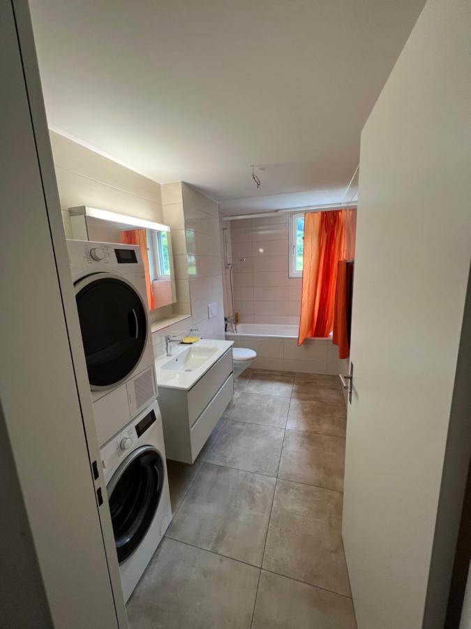 Great New Apartment Surrounded By Nature. Schattdorf Esterno foto